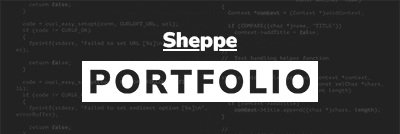 Professional Portfolio